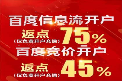 百度竞价价格解析，成功案例分享